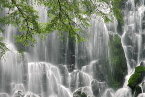 世界击剑艺术公开赛：花式攻防吸引观众目光，世界击剑选手排名