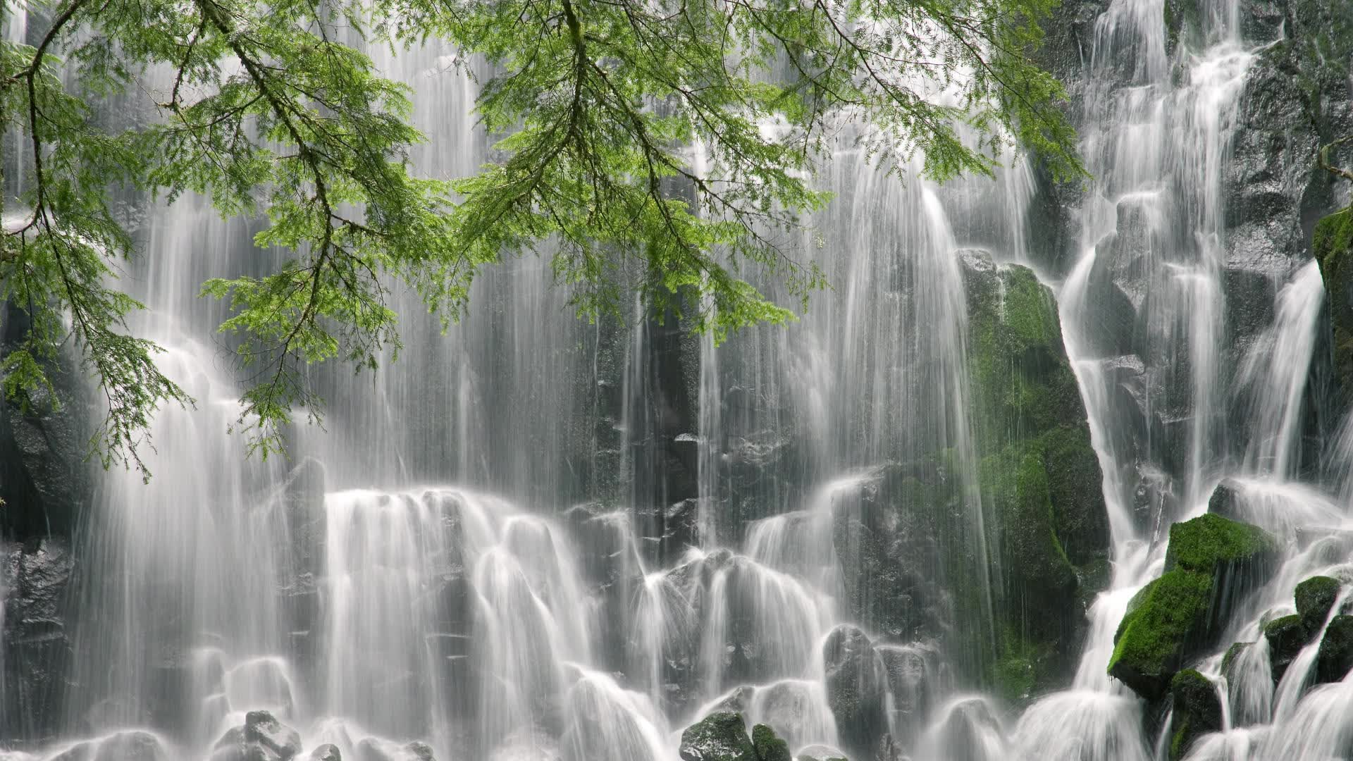 世界击剑艺术公开赛：花式攻防吸引观众目光，世界击剑选手排名